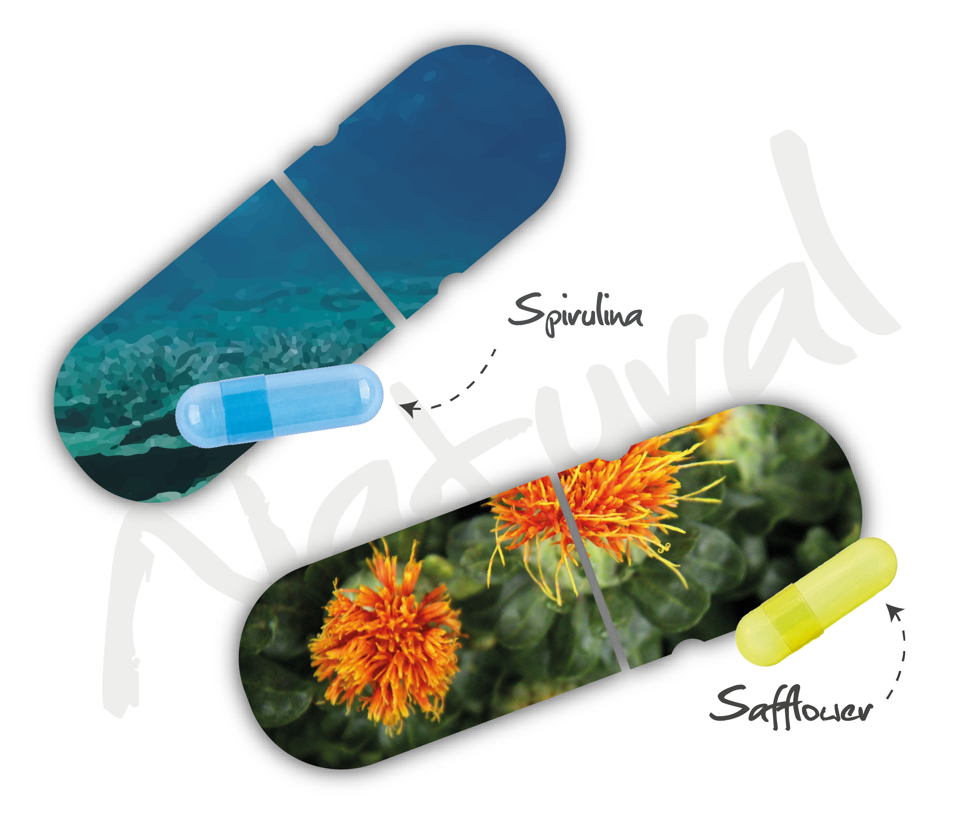 Produktfolder Naturals für Musterbox_PRINT_Pfade-02-02