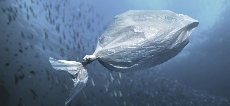 Plastik im Meer | GoPacks Plastik im Meer | GoPacks